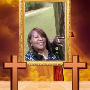 Meet your Posher, Dollie